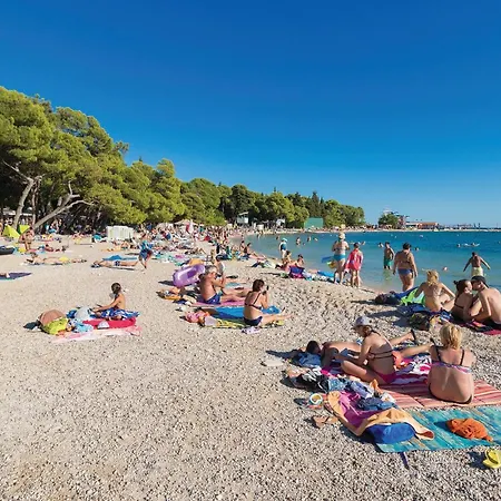 Amazing In Vikendica *