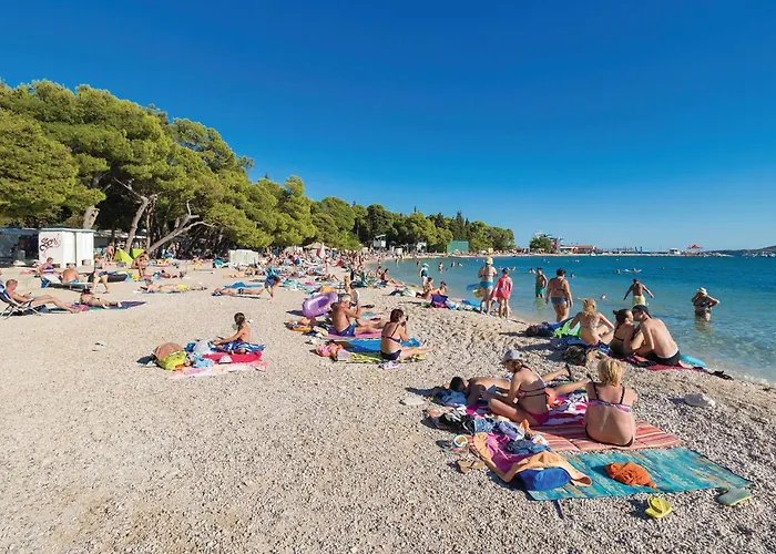 Amazing In Vikendica *